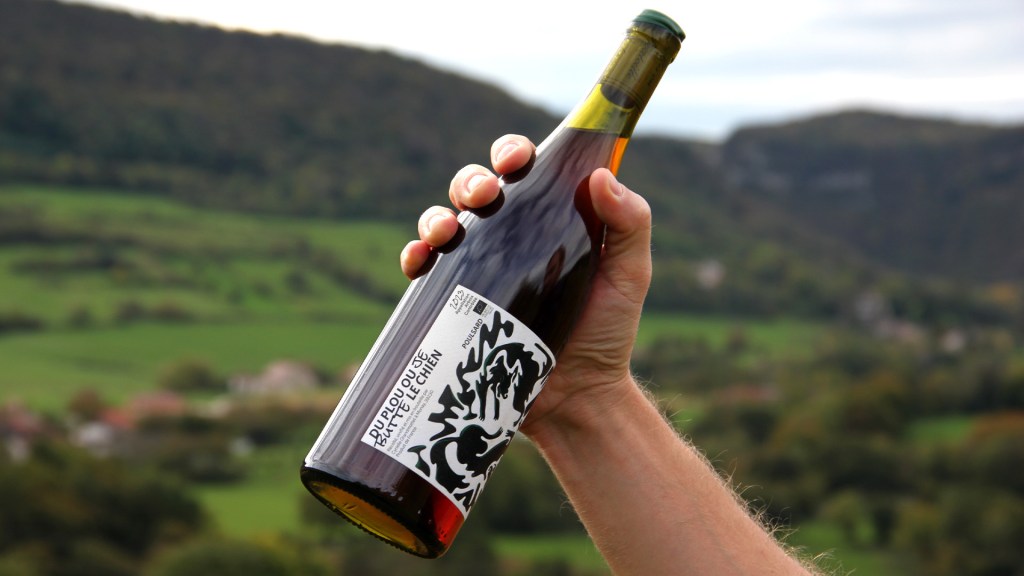 Bouteille de vin tenue par une personne sur arrière plan d'un paysage viticole.